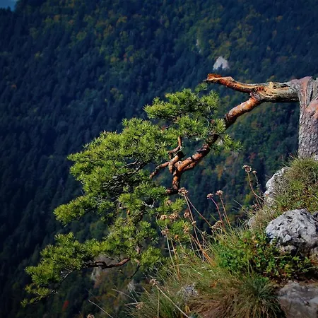 Ubytování v soukromí Kasiablanka Szczawnica